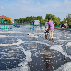 Làm rõ vấn đề lạm dụng từ ngữ nuôi tôm công nghệ cao